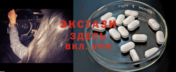 PSILOCYBIN Алзамай