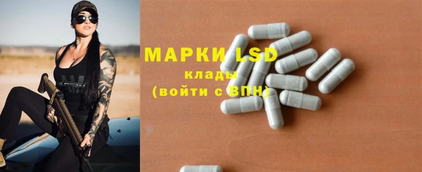 PSILOCYBIN Алзамай
