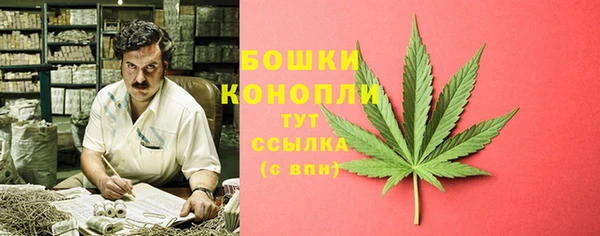PSILOCYBIN Алзамай